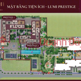 GIÁ SỐC - Căn hộ 2PN toà P2 LUMI Hà Nội view bể bơi cực quang_4.2 tỷ _0