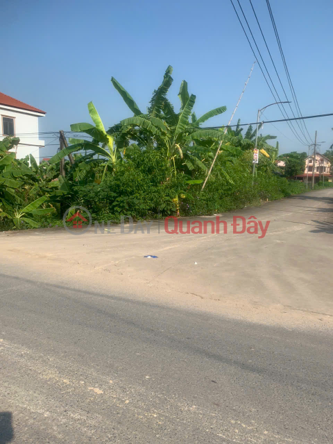 Chính chủ bán đất Thạch Sơn, Lâm Thao - 170m2, 2 mặt tiền, vị trí đẹp, kinh doanh cực thuận lợi _0