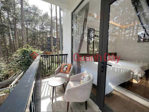 Cho thuê khách sạn 3 sao 36 phòng view rừng thông giá 135 triệu gần Hồ Tuyền Lâm tại Đà Lạt Lâm Đồng _0