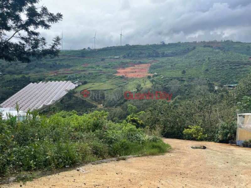 View of wind power, tea hill. Near markets, schools, committees .., suitable for investment, or building large houses. Sales Listings