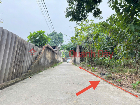 Siêu phẩm đất Phù Trì, Kim Hoa, Mê Linh. Đường thông, ô tô đỗ, đất vuông vắn, xây nhà cực đẹp _0