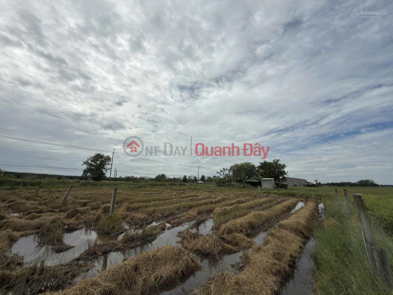 Property Search Vietnam | OneDay | Nhà ở | Niêm yết bán ĐẤT ĐẸP - GIÁ TỐT - Bán Nhanh Tại ấp Phước Đông xã Long Chữ tỉnh Tây Ninh (trước là xã Long Phước huyện Bến