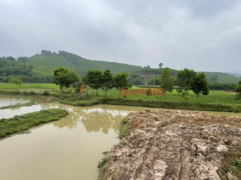 ĐẤT ĐẸP – GIÁ ƯU ĐÃI - Cần Bán Gấp Lô Đất Đẹp tại Lương Sơn, Hòa Bình Niêm yết bán