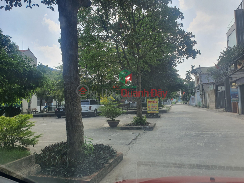 Property Search Vietnam | OneDay | Residential Sales Listings | Land for sale in Uy No Dong Anh, 7-seat car lane, price 30 million\\/m2