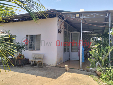 Owner selling land with house included. Address: Bao Quang Commune, Long Khanh City, Dong Nai Province. _0