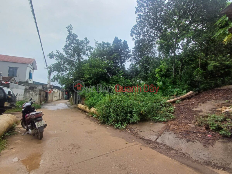 , Làm ơn chọn | Nhà ở, Niêm yết bán đ 10 triệu