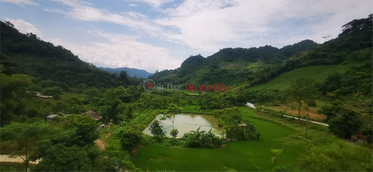 Property Search Vietnam | OneDay | Residential Sales Listings, BEAUTIFUL LAND - GOOD PRICE - OWNER FOR SALE VAC Complex Farm In Lao Cai