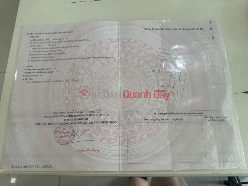 Property Search Vietnam | OneDay | Residential Sales Listings | Beautiful Land - Good Price - Need to Sell Quickly 3 Lots of Land in Binh Phuoc and Binh Duong