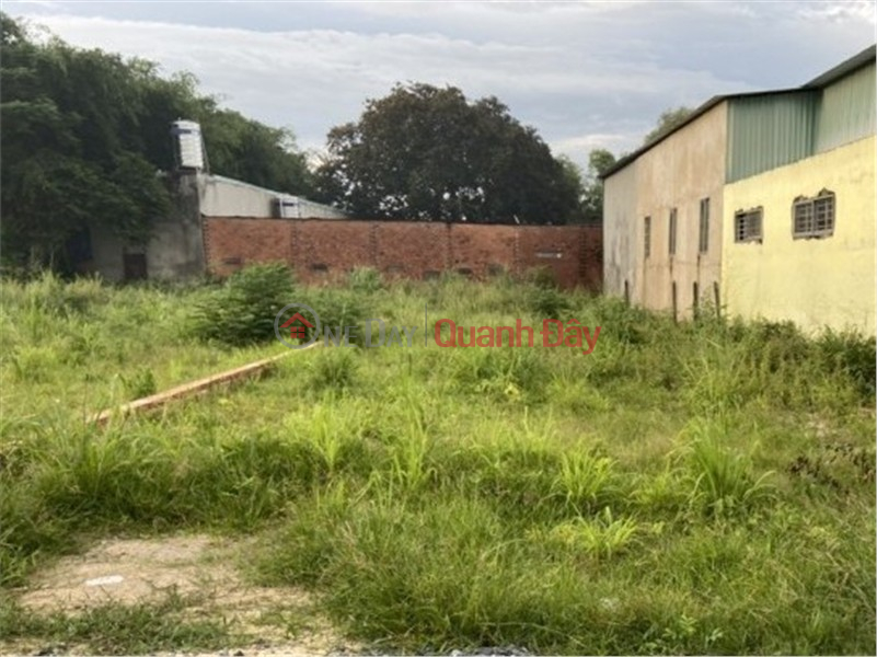 Land for sale in Do Thua Luong, Tan Phu - 71m2, A4 KLG - Alley 8m, truck accessible | Vietnam, Sales đ 7.55 Billion