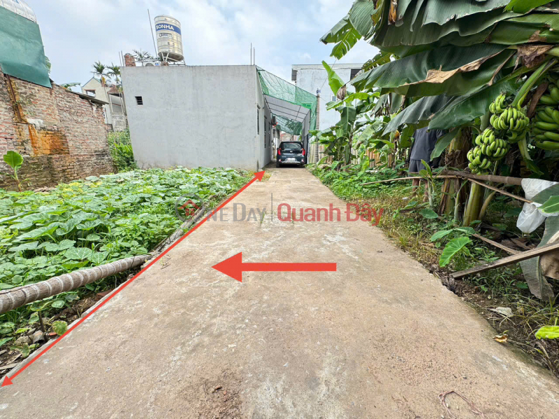 Property Search Vietnam | OneDay | Residential Sales Listings Trang Viet Golden Land, Me Linh - Opportunity to double your assets when Thuong Cat Bridge starts construction