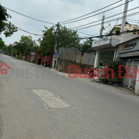 Chỉ 2,65 tỉ sở hữu mảnh đất 49 mét tại Đình Trung - Xuân Nộn - Đông Anh _0