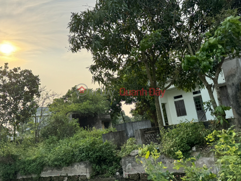 URGENT! OWNER Needs to Sell Full Residential Land, Beautiful Location in Tan Thanh Commune, Vu Ban District, Nam Dinh, Vietnam | Sales | đ 2.88 Billion