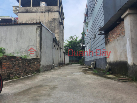 The owner sent for sale 57m2 full residential Luong Quy, Xuan Don, Dong Anh, Hanoi _0