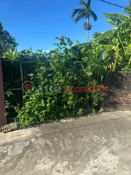 Property Search Vietnam | OneDay | Residential, Sales Listings OWNER URGENTLY NEEDS TO SELL LAND LOT IN THAI NGUYEN COMMUNE, THAI THUY, THAI BINH