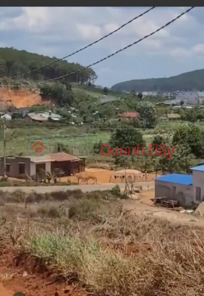 Property Search Vietnam | OneDay | Residential, Sales Listings BEAUTIFUL LAND - GOOD PRICE - OWNER NEEDS TO SELL RED BASEL LAND PLOT Hamlet 16, Da Loan, Duc Trong, Lam Dong