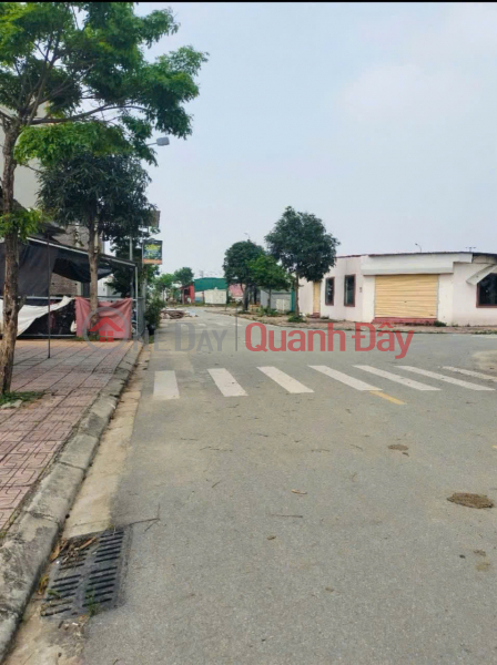 đ 3.25 Billion BEAUTIFUL LAND - GOOD PRICE - Owner Needs to Sell Land Plot in An Binh Vong Dong Project, Yen Phong, Bac Ninh