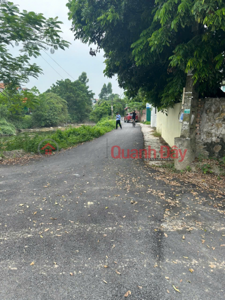 Property Search Vietnam | OneDay | Residential | Sales Listings, Urgent sale of 1422m2 land in Thuan Thanh district, Bac Ninh province, car-free road, free of tax