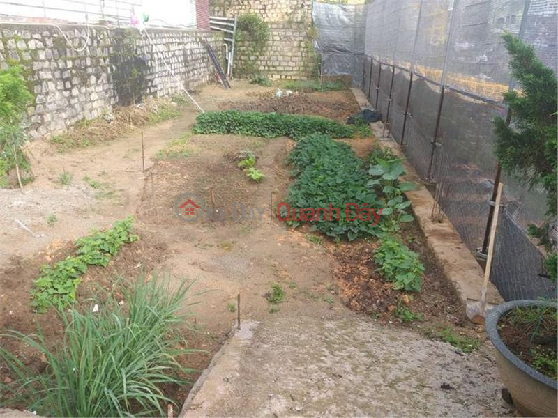 OWNER NEEDS TO SELL LOT OF LAND IN THE CENTER OF THE CITY At Nguyen Trung Truc, Ward 3, City. Da Lat, Lam Dong Sales Listings