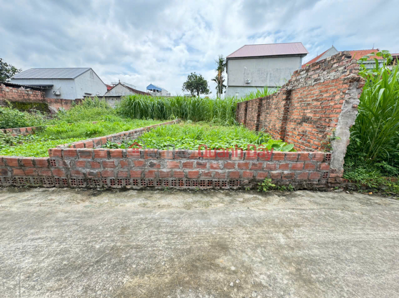 Property Search Vietnam | OneDay | Nhà ở Niêm yết bán | Bán 62m Đất Thôn Đức Hậu, Thanh Lâm, Mê Linh - Vị Trí Đắc Địa, Tiềm Năng Vượt Trội
