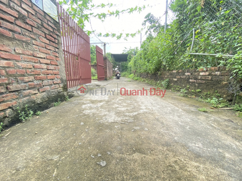 The land inside the Dong Mai dike - the alley in front of the land where cars are parked is just over billion Sales Listings