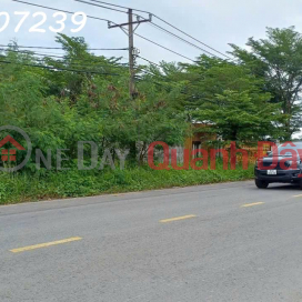CẦN BÁN LÔ ĐẤT Mặt tiền đường Hồ Văn Tắng, Xã Tân thạnh Đông, củ Chi, HCM _0