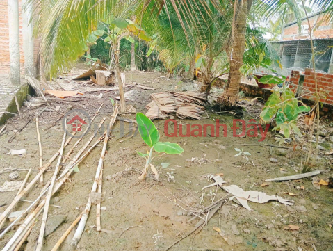 Need to Sell Quickly Land Lot Fronting District Road 18 Dinh Thuy, Phuoc Hiep, Mo Cay Nam, Ben Tre _0