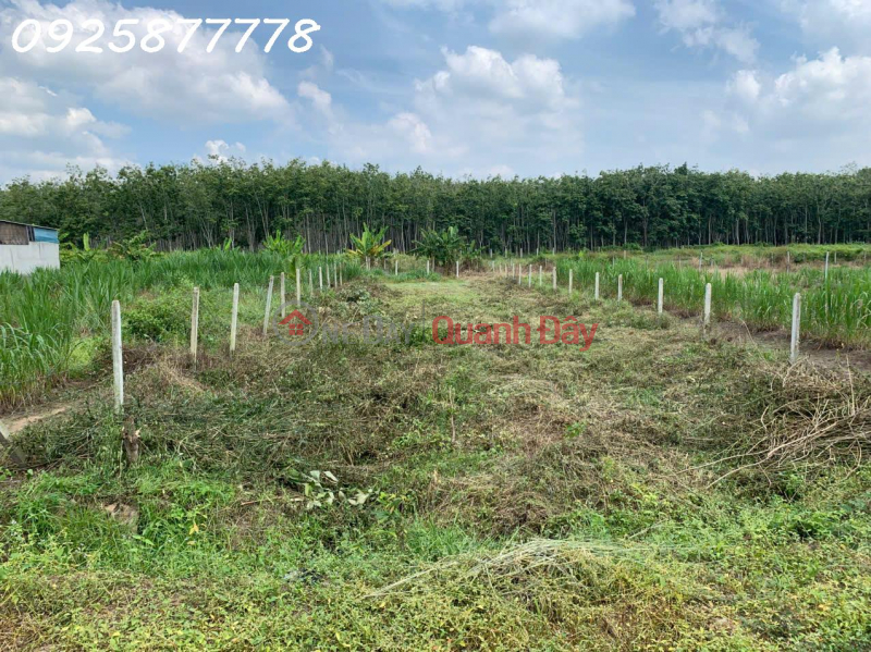 Chính chủ cần bán miếng đất mặt tiền đường nhựa Xã An Nhơn Tây, TP. Hồ Chí Minh | Việt Nam Bán đ 2,98 tỷ