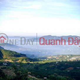 BEAUTIFUL LAND - GOOD PRICE - OWNER 5000m2 Land Lot For Sale In Dong Thanh, Lam Ha _0
