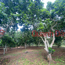 CHỈ 750TR SỞ HỮU NGAY 500M2 ĐẤT CHÍNH CHỦ MẶT TIỀN OTO TRÁNH TẠI BẢO VINH-LONG KHÁNH _0