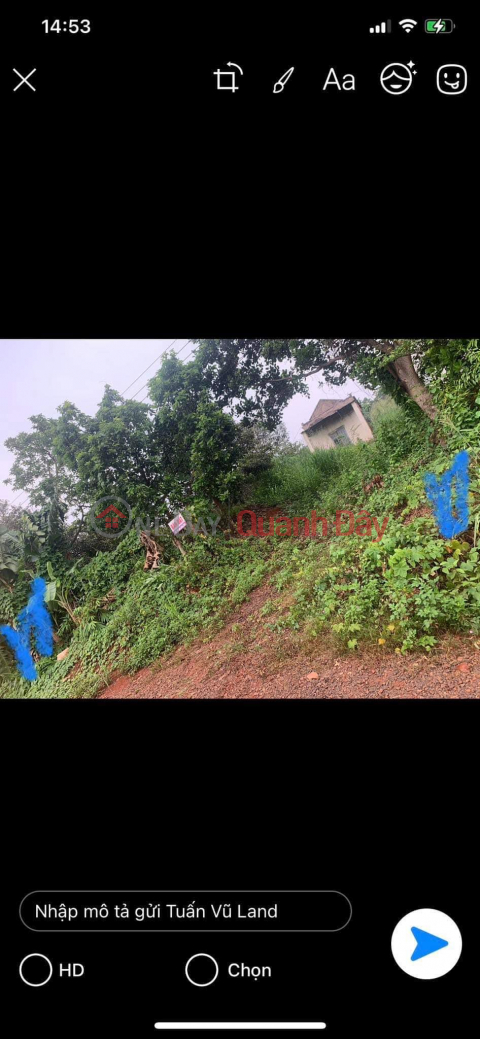 BEAUTIFUL LAND - GOOD PRICE - Urgent Sale of Land Lot in Nice Location in Phuoc Tin Commune, Phuoc Long Town, Binh Phuoc _0