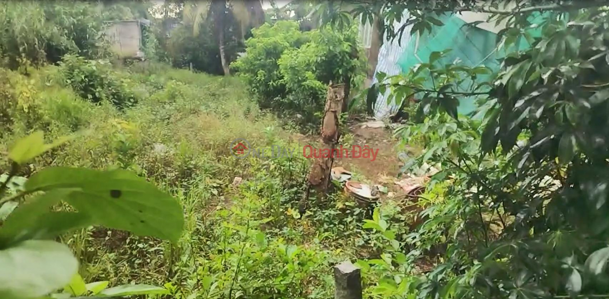  | Làm ơn chọn, Nhà ở | Niêm yết bán, đ 560 triệu