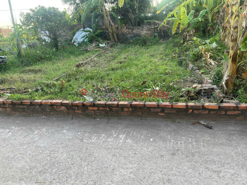 Property Search Vietnam | OneDay | Nhà ở, Niêm yết bán, Bán gấp mảnh đất thôn Thanh Trí, Minh Phú, Sóc Sơn. Gần chợ, đường rộng oto đỗ