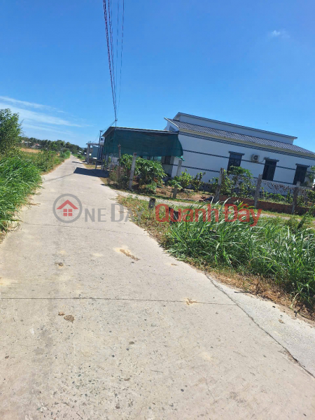 BEAUTIFUL LAND - GOOD PRICE OWNER NEEDS TO SELL QUICKLY beautiful land - good price in Ba Tri district, Ben Tre province | Vietnam, Sales đ 650 Million