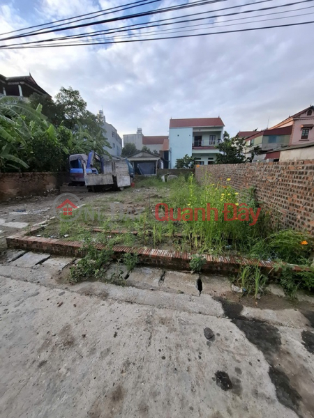 Property Search Vietnam | OneDay | Nhà ở Niêm yết bán, Bán đất Xóm Trại Xuân Nộn, 75m x 5m vuông vắn, oto tránh thông chỉ 2 tỷ 8 TL.