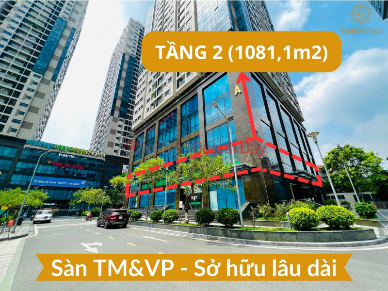 Bán gấp full sàn văn phòng 1081,1m2 - Sổ hồng lâu dài siêu hiếm quận Thanh Xuân - Sẵn khách thuê Niêm yết bán