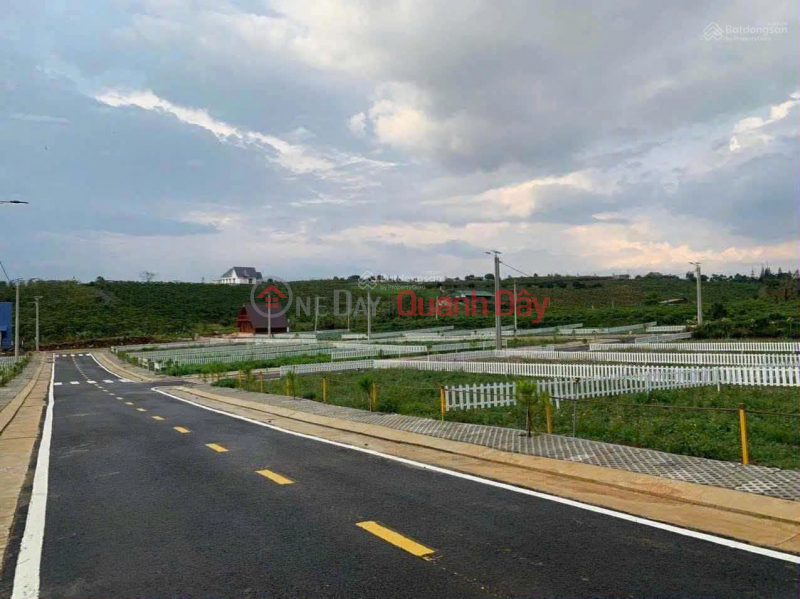 Property Search Vietnam | OneDay | Residential Sales Listings, Land for sale in Dam Bri Commune, Bao Loc, Lam Dong, 2.8 billion, 223m2 with preferential price only