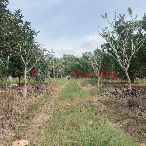 Đất vườn Diên Xuân - Diên Khánh - Khánh Hòa . Phù hợp xây farm _0