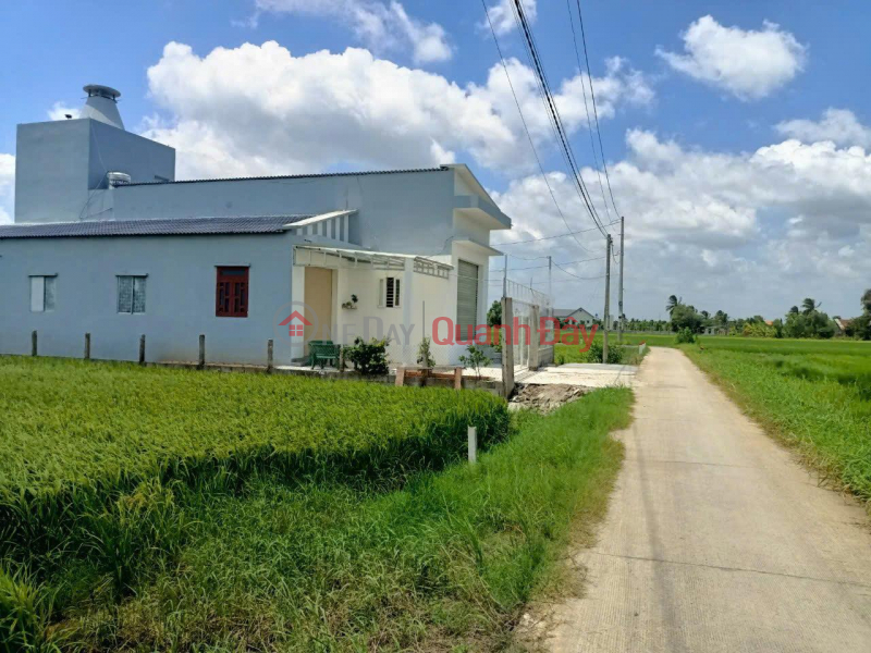 OWNER NEEDS TO SELL QUICKLY Land in An Thanh Commune, Ben Luc, Long An Sales Listings