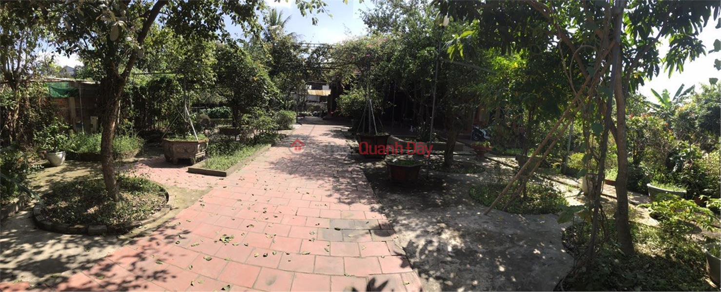 Property Search Vietnam | OneDay | Residential Sales Listings | Need to quickly sell Garden House Land with Two Fronts in Vinh Tan Ward, Vinh - Nghe An.