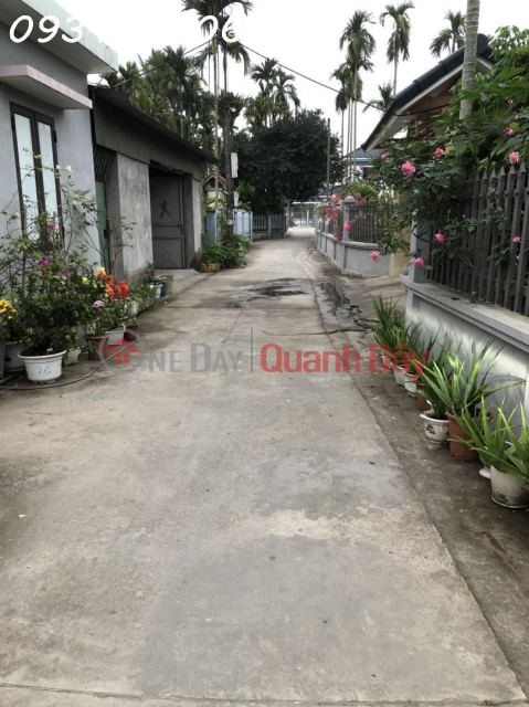 Selling beautiful land with area 100m2, width 5m, concrete alley, 3m car in and out of Hoa Nghia ward next to Vinhomes Duong Kinh, Hai _0