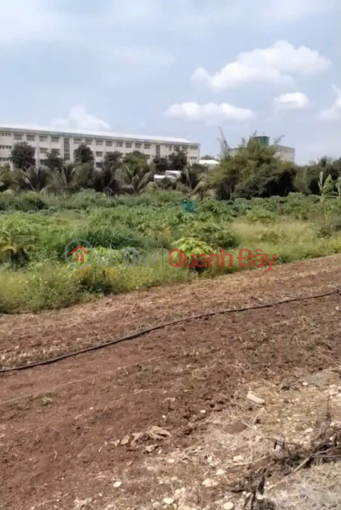 BEAUTIFUL LAND - GOOD PRICE - OWNER Needs to Sell Land Lot in Xuan Dong Commune, Cam My, Dong Nai _0