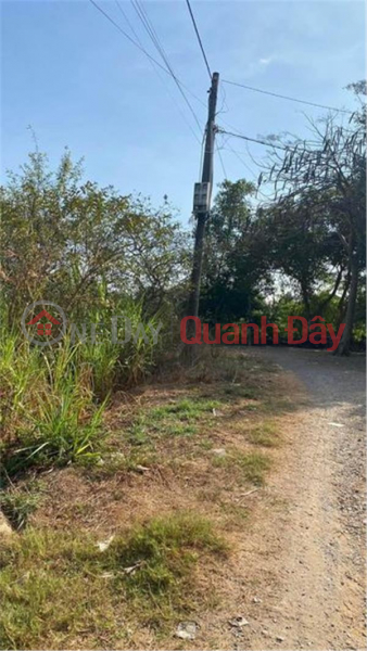 đ 3.5 Billion | PRIMARY Land - Good Price In Binh Minh Commune, Trang Bom District, Dong Nai Province