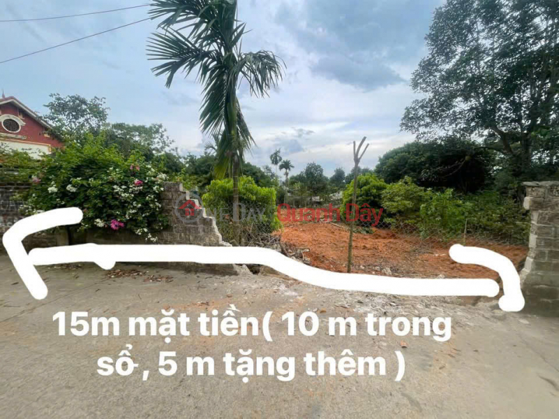 Property Search Vietnam | OneDay | Residential, Sales Listings Green living trend 2026 - Leaving the city for the countryside to build villas - Enjoying a peaceful life to the fullest.