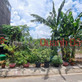 Cheap land - 158m2 wide, 6m wide, 10m rear - 55 million\/m2 - car alley - Gigamall Hiep Binh Chanh Thu Duc. _0