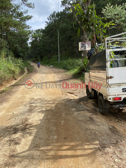 BEAUTIFUL LAND - GOOD PRICE - OWNER SELLING LOT OF LOT IN Da Lat City, Lam Dong Province _0