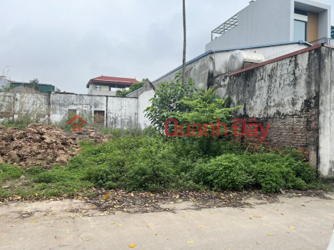Urgent sale of 76.6m Cau Ca village, Co Loa commune, Dong Anh district, 3-car front road, avoid LH e Khai alley. _0