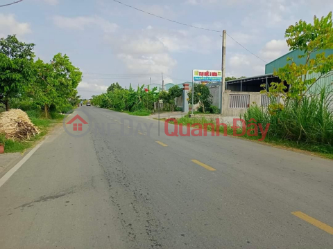 FOR SALE Beautiful Land Lot Super Prime Location In Binh An Commune, Thu Thua District, Long An Province. _0