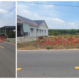 OWNER URGENTLY SELLING LARGE PLOT OF PAVED LAND INCLUDING TAXES AND FEES IN LONG CHU CENTER - BEN CAU - TAY NINH _0