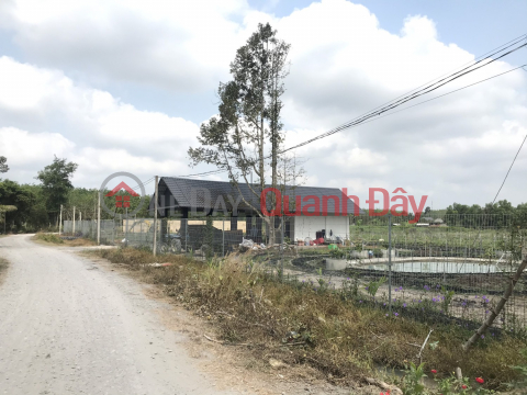 1hectare farm 1200m2 Tho Cu Near Phuoc Dong Industrial Park, Trang Bang Tay Ninh Urgent sale _0