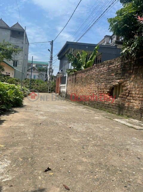 Selling 40m of land in Phu Lien village, Bac Hong commune, car road, price 1 billion VND _0